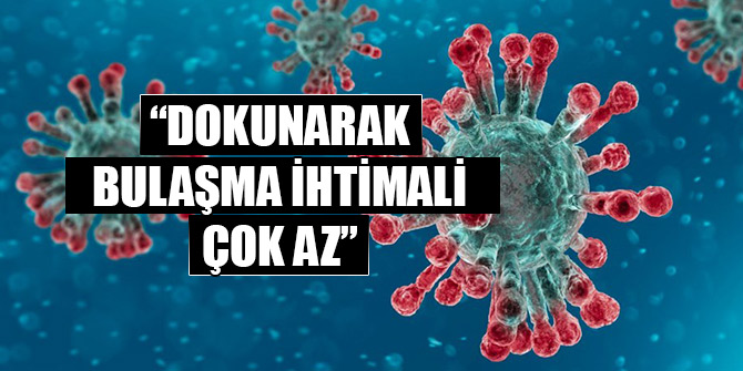Prof. Ateş Kara: Dokunarak bulaşma ihtimali çok az