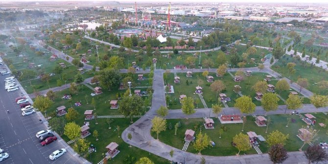 Ormanlar ve ören yerleri 1 Haziran'da açılıyor