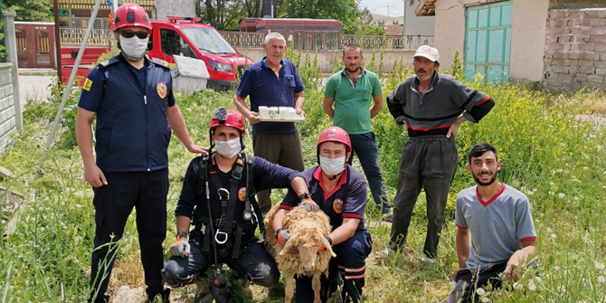 Konya'da kuyuya düşen kuzu kurtarıldı