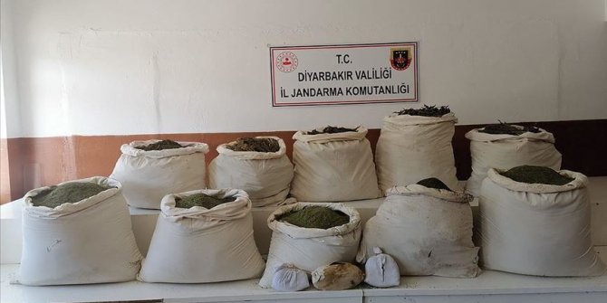 Turkey: Nearly 2.5M cannabis sativa roots seized