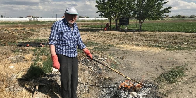 Konya’da 65 yaş üzeri vatandaşlar vaktini bahçede geçiriyor
