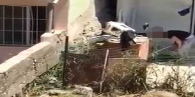 Köpeğine şiddet uygulayan kişiye tepki yağdı