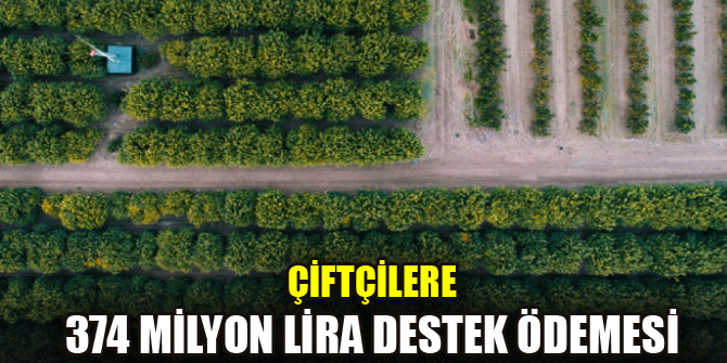 Çiftçilere 374 milyon lira destek ödemesi