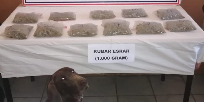 Van’da bin gram kubar esrar ele geçirildi