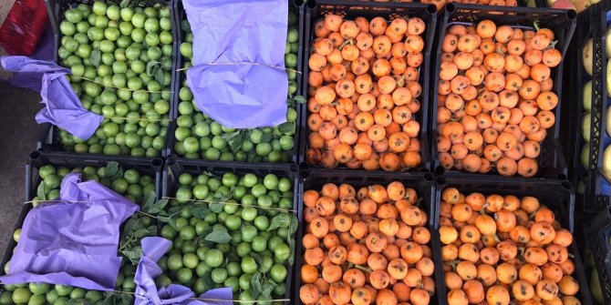 Rusya'ya yaş meyve sebze ihracatı yüzde 26 arttı