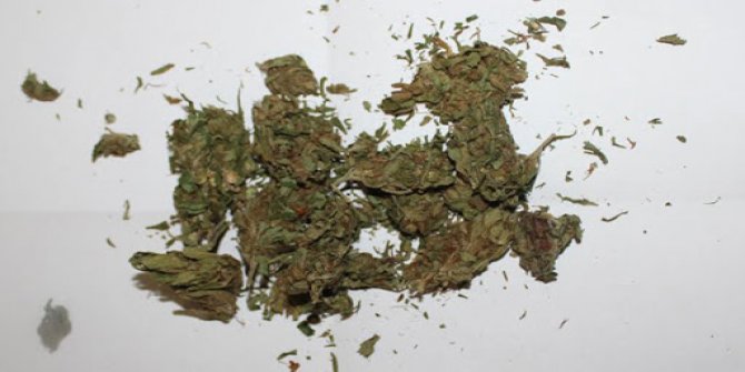 Konya'da 95 kilogram kubar esrar ele geçirildi
