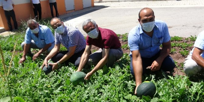 Okul bahçesine öğrenciler ekti, öğretmenler hasat etti