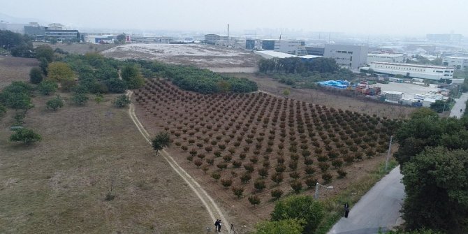 TOKİ’nin arsaları açık arttırma ile satışa çıkıyor! Konya'da 17 arsa var
