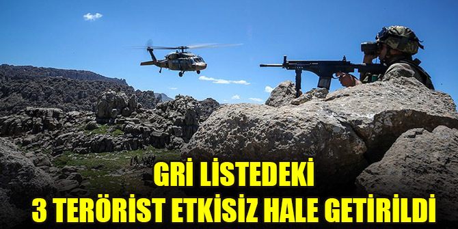 Gri listedeki 3 terörist etkisiz hale getirildi
