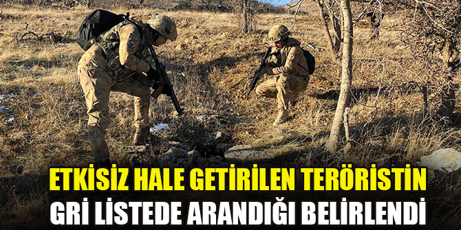 Tunceli'de etkisiz hale getirilen teröristin gri listede arandığı belirlendi