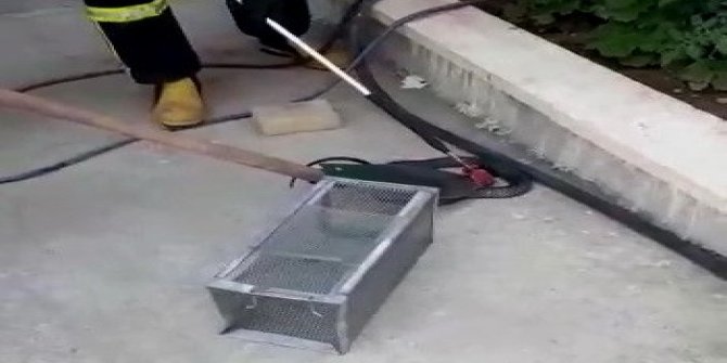OSB’de ki fabrikada yılan paniği
