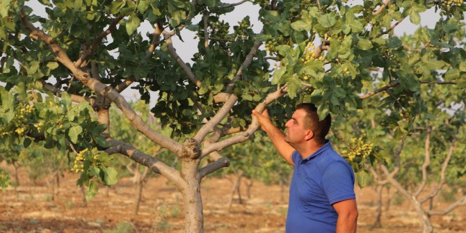 Devlet desteği alan çiftçi, köyüne istihdam getirdi