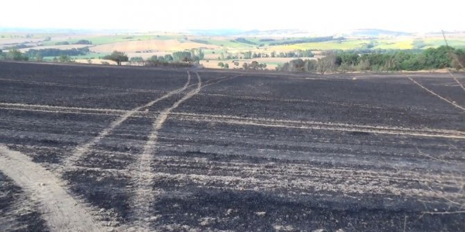 Tekirdağ’da 200 dekar alandaki anızlar kül oldu