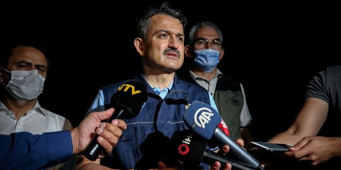 Bakan Pakdemirli'den Gelibolu Yarımadası'ndaki orman yangınıyla ilgili açıklama