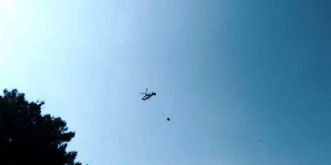 Manisa'da anız yangını ormanlık alana sıçradı