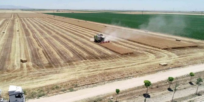Özkan Taşpınar: iç piyasa ile dünya fiyatları dengelendi