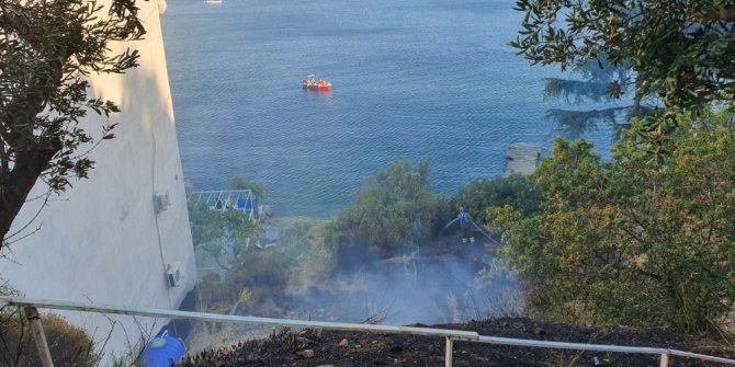 Bursa’da yangın...Çamlar yanmadan söndürüldü