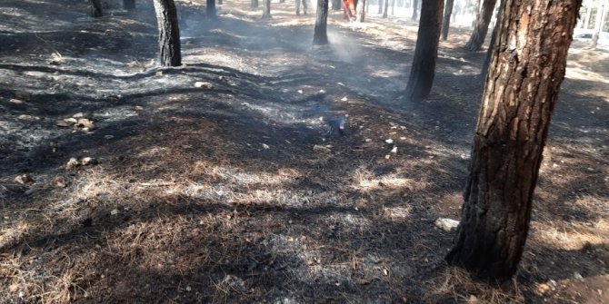 Kahramanmaraş’ta orman yangını