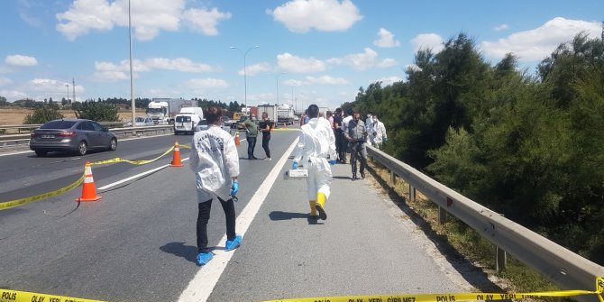 TEM'de dehşet: Ceset parçaları bulundu