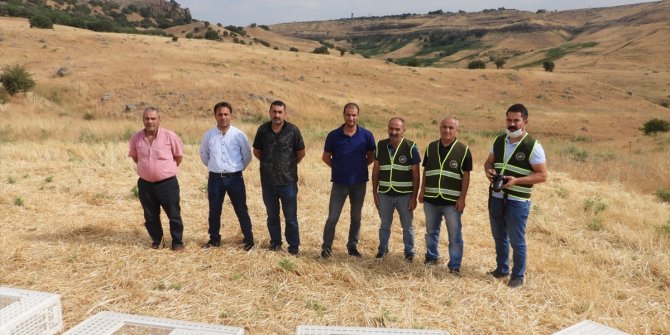 Şırnak'ta 750 kınalı keklik doğaya bırakıldı