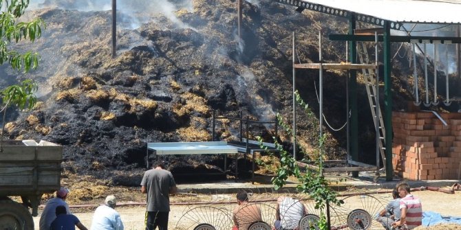 25 hayvan telef oldu, yanan çiftliği çaresizce izlediler