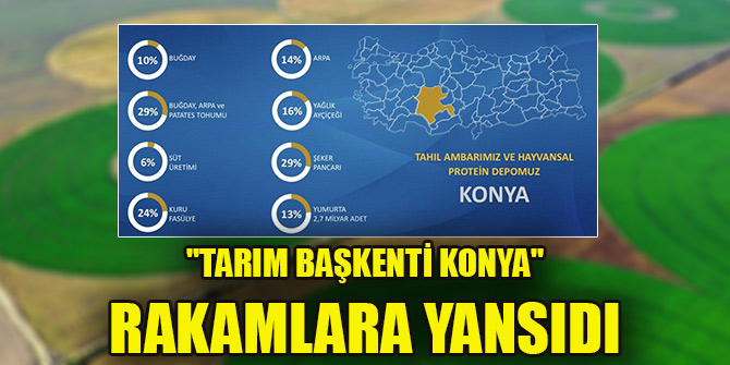 "Tarım başkenti Konya" rakamlara yansıdı