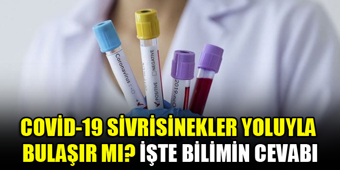 Covid-19 sivrisinekler yoluyla bulaşır mı? İşte bilimin cevabı
