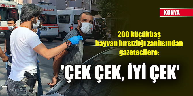 Konya'da 200 küçükbaş hayvan hırsızlığı zanlısından gazetecilere; 'Çek çek, iyi çek'