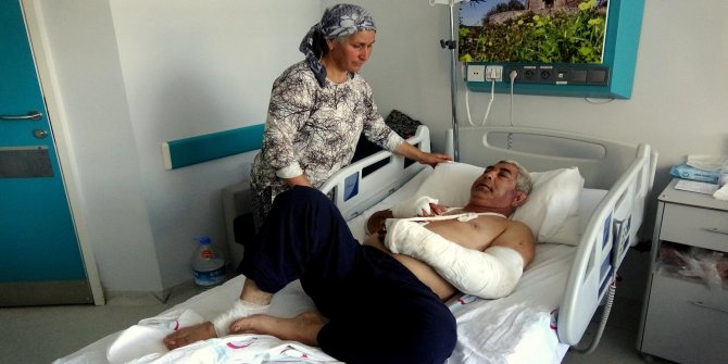 Pitbulların saldırısına uğrayan elektrik firması çalışanı: 'Sonum geldi' dedim