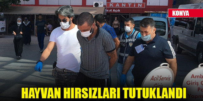 Konya’da hayvan hırsızları tutuklandı