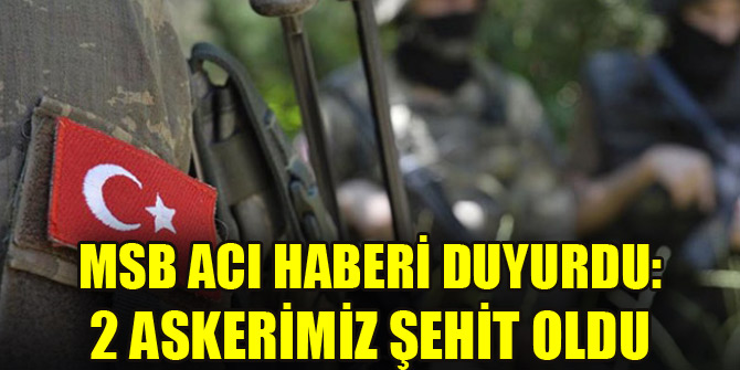 Hakkari'de 2 asker şehit oldu