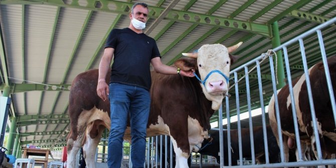 Kocaeli’de kurban pazarları sakin olmasına rağmen satıcılar memnun