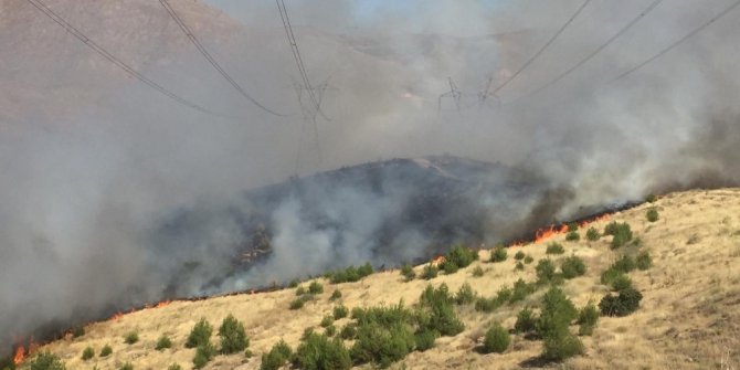 Elazığ’daki orman yangını söndürüldü