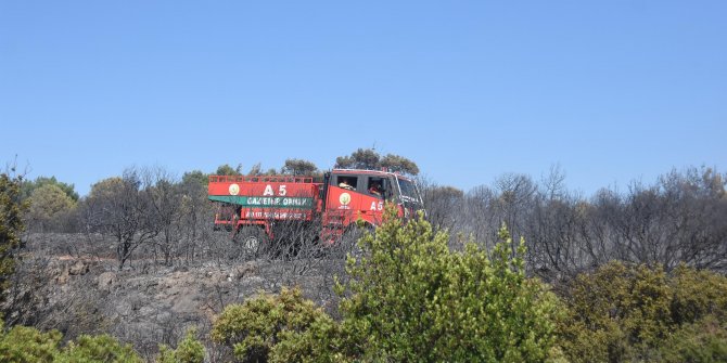 İzmir'de orman yangınına karadan ve havadan müdahale sürüyor