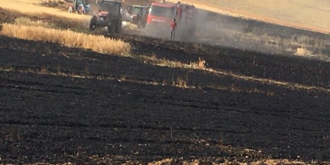 Niğde’de 50 dönümlük arpa tarlası kül oldu