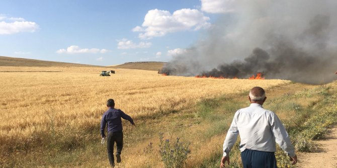 Niğde'de 50 dönüm arpa tarlası kül oldu