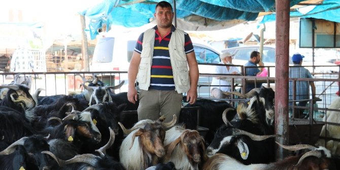 Kahramanmaraş’ta kurbanlıklar pazara indi