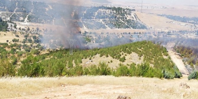Gaziantep’te örtü yangını