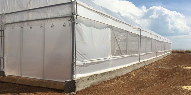 Beyşehir'in 7 mahallesinde kurulan örtü altı seralarda üretim başladı