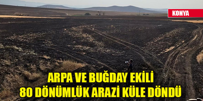 Konya'daki yangında 80 dönümlük arazi küle döndü