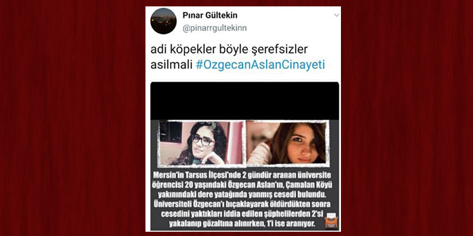 Muğla'da öldürülen Pınar, Özgecan paylaşımları yapmış: İçim parçalanıyor