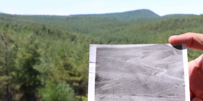 Çorak arazi 40 yılda ormana dönüştürüldü