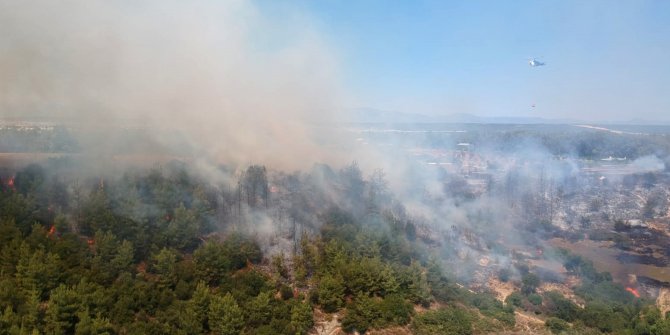 Antalya Aksu'da orman yangını