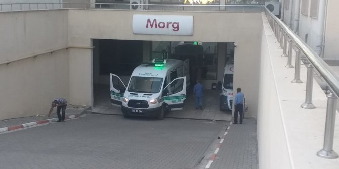 Üzerine ağaç devrilen şahıs hayatını kaybetti