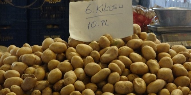 Türkiye’de bu yıl 5 milyon ton patates üretimi bekleniyor