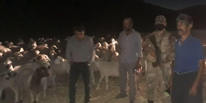 Elazığ'da kaybolan 300 küçükbaşı jandarma buldu