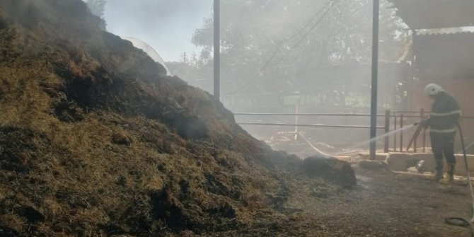 Kaynak makinesi 20 ton samanı küle çevirdi