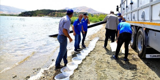 İlk defa üretimi yapılan 420 bin adet siraz balığı, Hazar Gölü’ne bırakıldı
