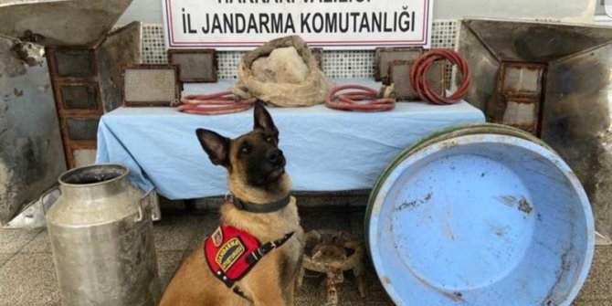 Hakkari'de terör örgütünün finans kaynağına darbe
