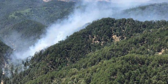 Kızıldağ’da orman yangını